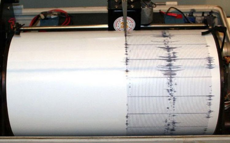 У берегов Мексики произошло землетрясение магнитудой 6,6