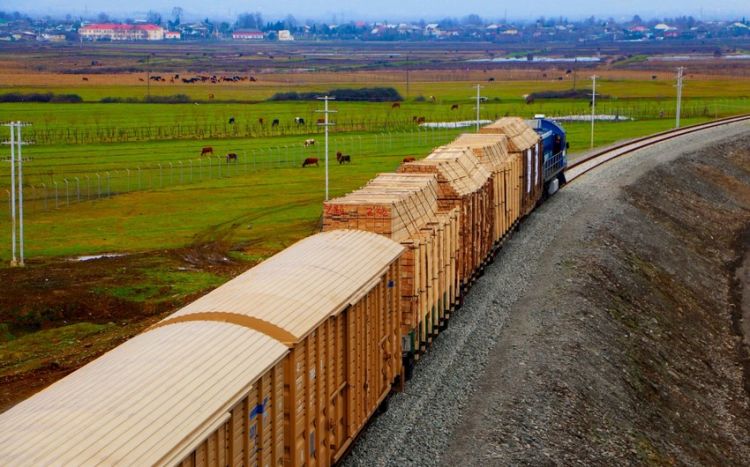 Грузоперевозки по железной дороге в Азербайджане выросли на 23%