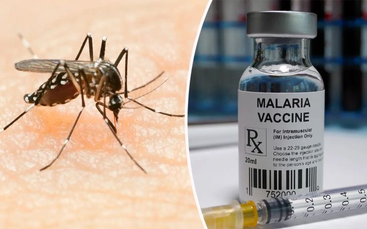 Malaria found in US for first time in 20 years, alarming officials