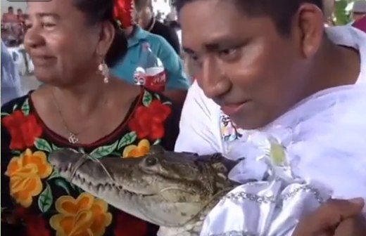 Meksikada şəhər meri timsahla evləndi