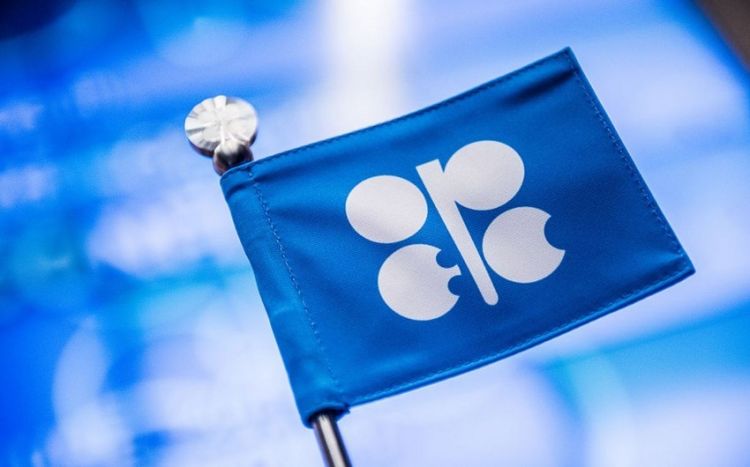 OPEC+ members urge other countries to join alliance