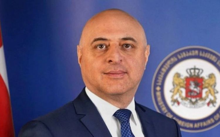 Georgian Ambassador leaves Ukraine