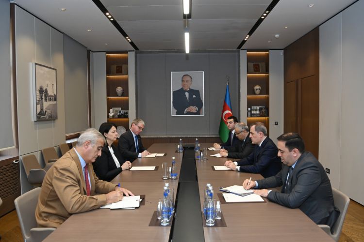 Foreign Minister met with Head of ICRC Delegation in Azerbaijan