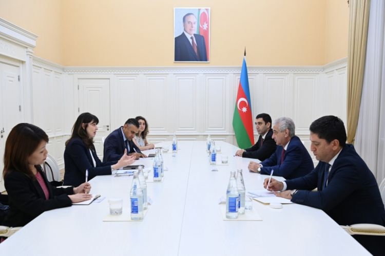 Azerbaijan`s Deputy Prime Minister meets with UN Resident Coordinator in Azerbaijan