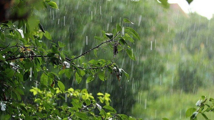 FAKTİKİ HAVA Bölgələrdə arabir yağış yağıb, şimşək çaxıb