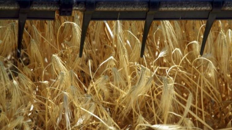 Grain deal reportedly still not extended