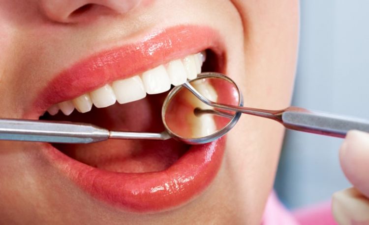 Японские ученые нашли способ выращивать людям новые зубы