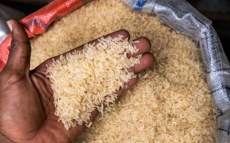 Индия запретила экспорт белого риса