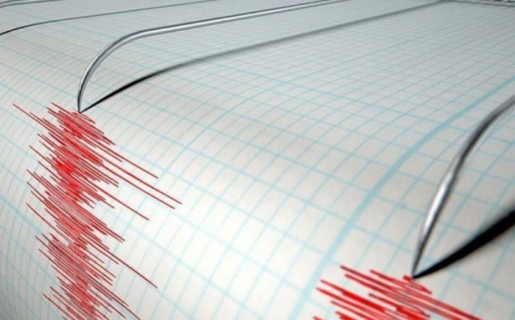Рядом с Сахалином произошло землетрясение магнитудой 4,0