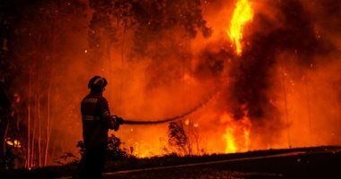 اندلاع حريق هائل فى إحدى غابات تونس