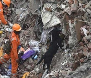ارتفاع عدد القتلى جراء الانهيار الأرضي في الهند إلى 26 شخصا