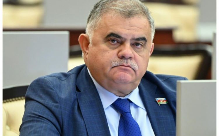 Депутат Арзу Нагиев награжден орденом "Шохрат"