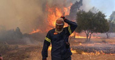 تونس تعلن السيطرة على حرائق الغابات