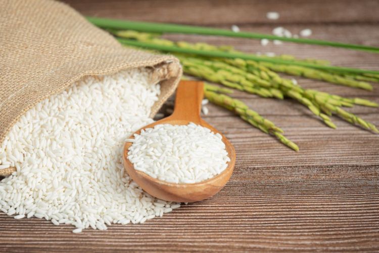 Russia bans rice exports until Dec 31, 2023