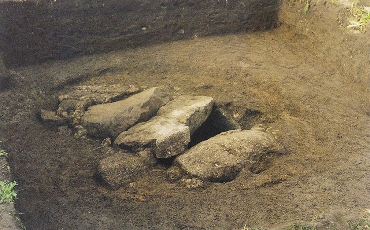 В Британии идентифицировали останки воина железного века, им оказалась женщина