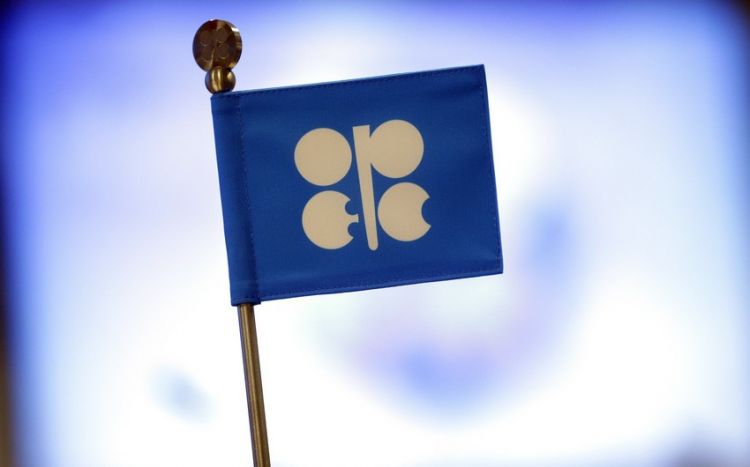 OPEC+ makes no recommendations on oil production quotas