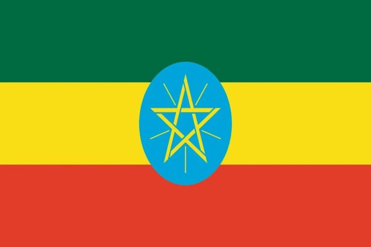 Ethiopia accuses Amhara militia of trying to overthrow government