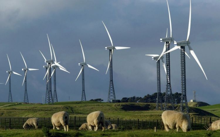 Новая Зеландия направит $1,2 млрд на переход к экологически чистой энергетике