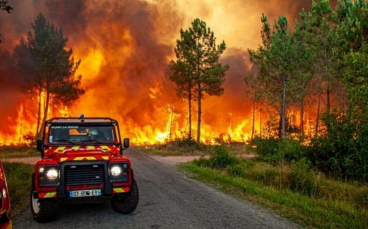 В Португалии из-за лесного пожара эвакуировали 1,4 тыс. человек