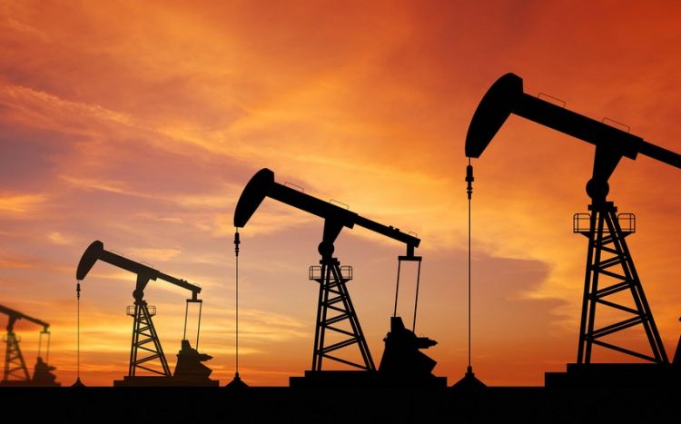 ОПЕК повысил прогноз по добыче нефти в США на 2023-2024 годы
