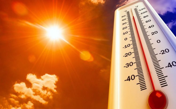Аномальная жара в мире может продолжаться до февраля
