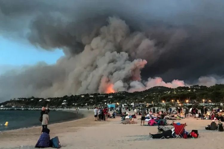 Fire destroys 500 hectares in south of France