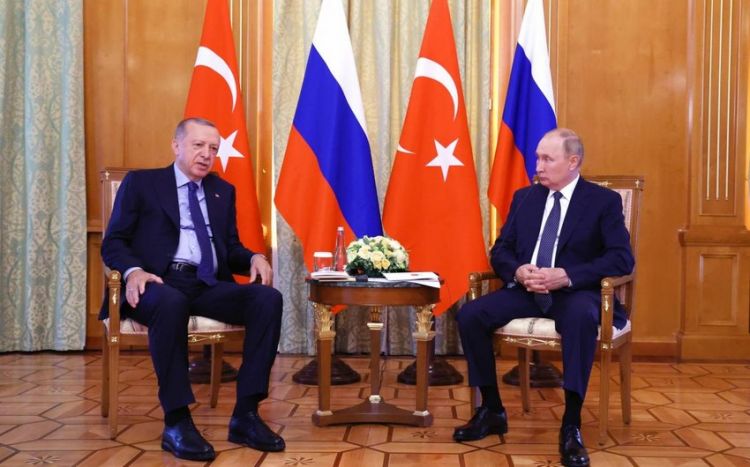 Встреча Путина и Эрдогана может состояться 31 августа