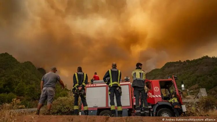 Wildfire on Spain's Tenerife burning 'out of control'