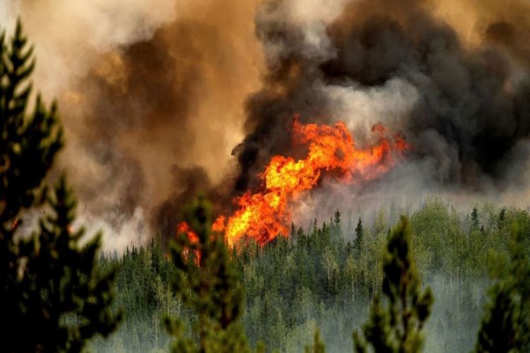 Wildfire evacuees frustrated by Facebook news ban in Canada