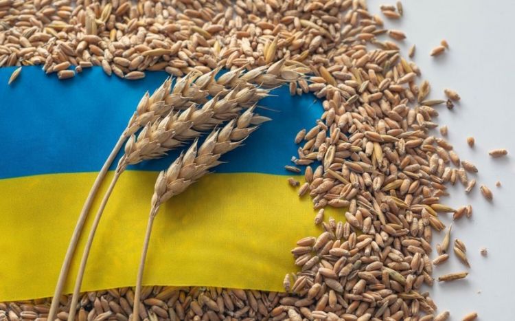 Румыния намерена совершать транзит 60% украинского зерна