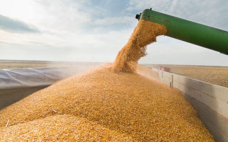 Ukraine nears deal with global insurers to cover grain ships