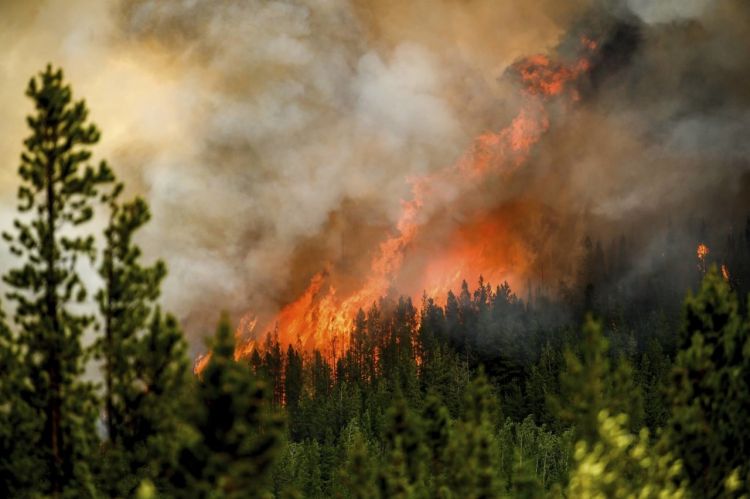 حرائق الغابات في كندا تجبر آلاف السكان على إخلاء مناطقهم