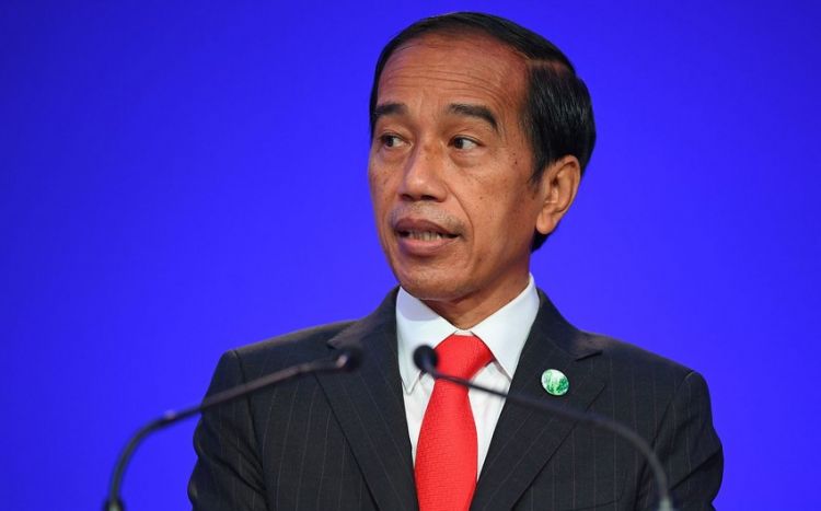 Президент Индонезии примет участие в саммите БРИКС в ЮАР