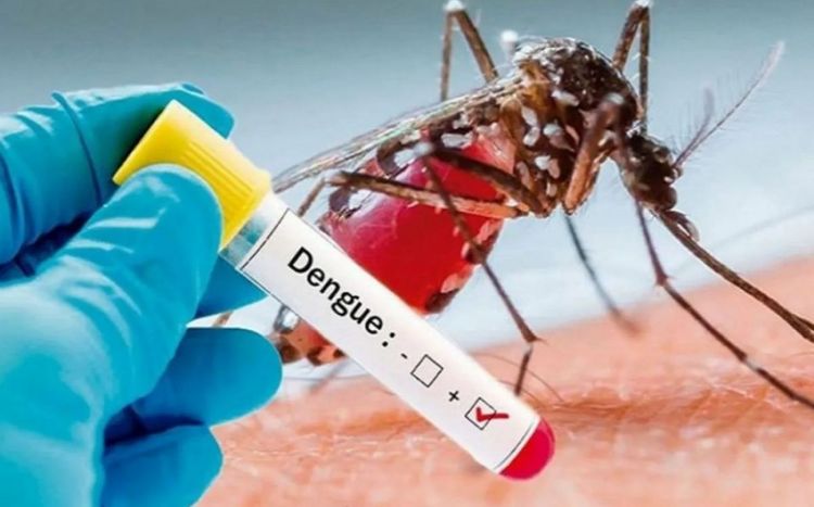 Число заболевших лихорадкой денге в Бангладеш в августе превысило 50,3 тыс.