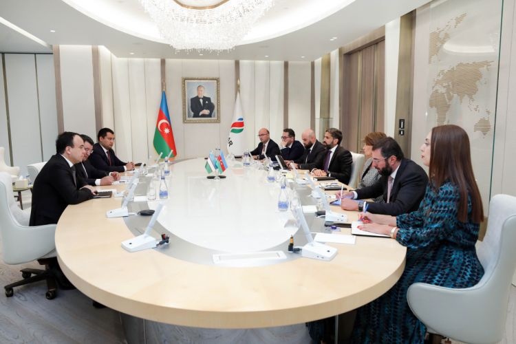 President of SOCAR and Uzbek Energy Minister met
