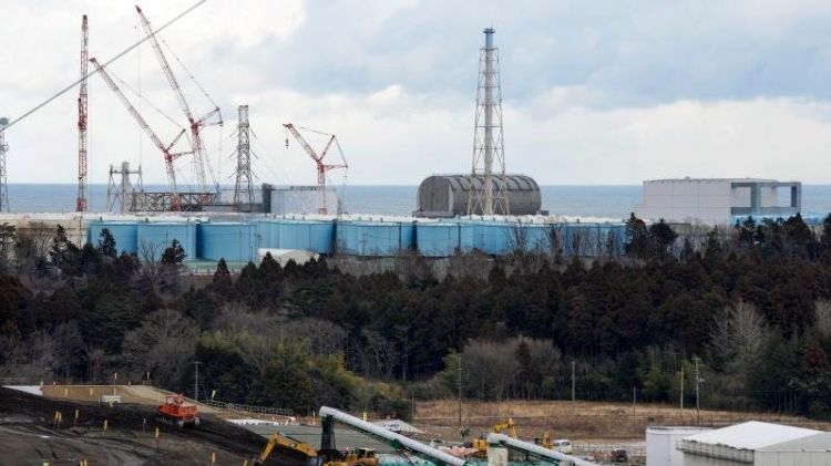 Japan starts Fukushima water dumping process