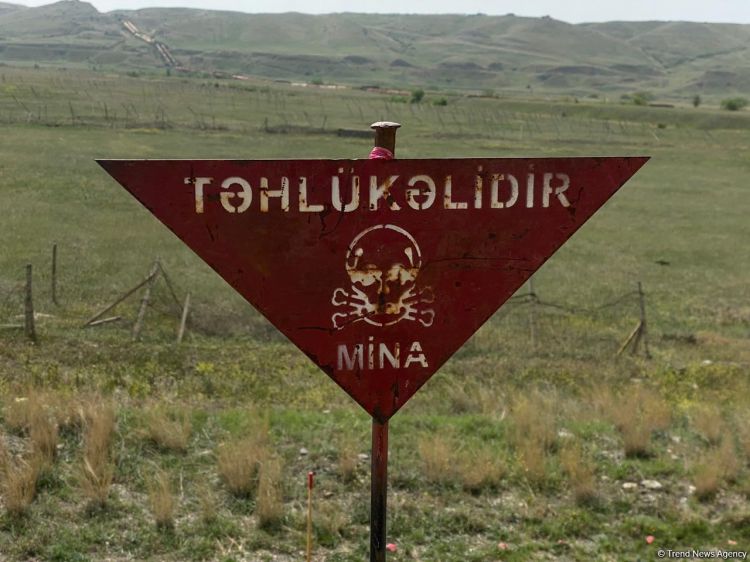 Azerbaijan detects 348 more landmines in liberated territories