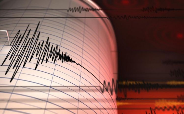 Earthquake of magnitude 4.8 strikes Türkiye