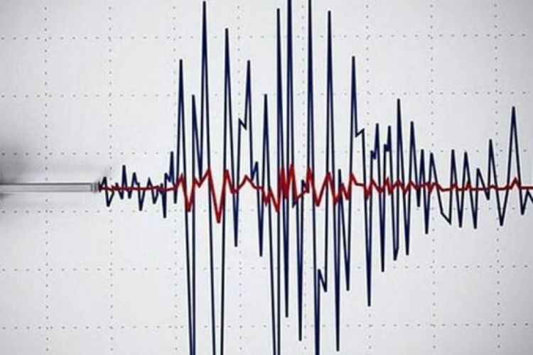 Magnitude 4.6 earthquake strikes Türkiye