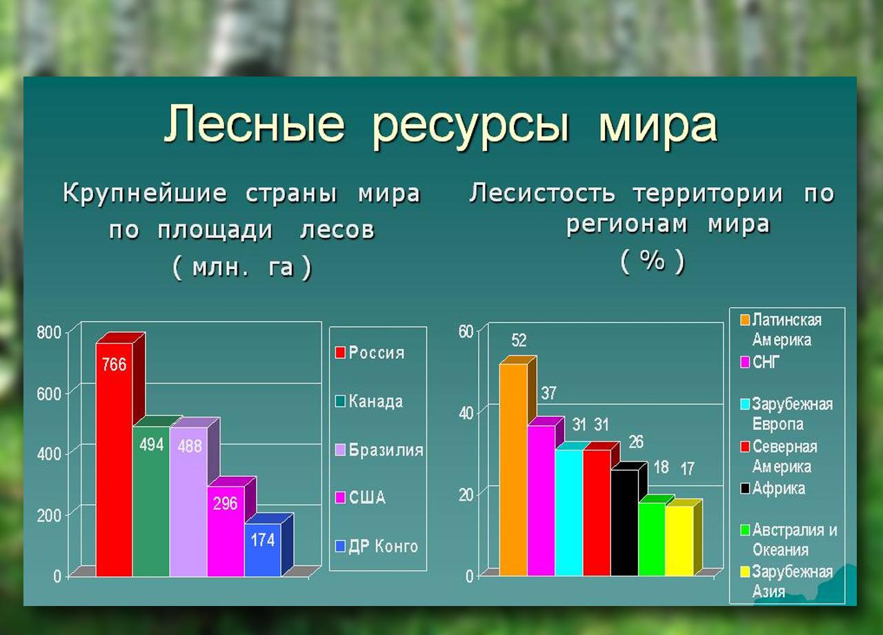 Лесные ресурсы мира в процентах
